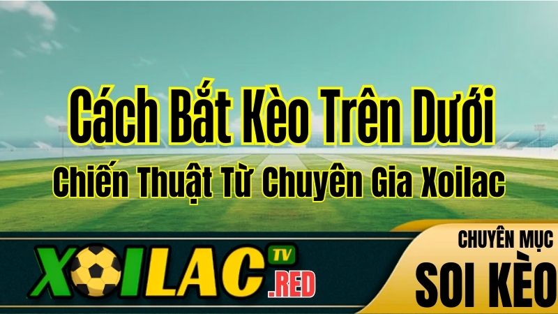Cách Bắt Kèo Trên Dưới An Toàn: Chiến Thuật Từ Chuyên Gia Xoilac