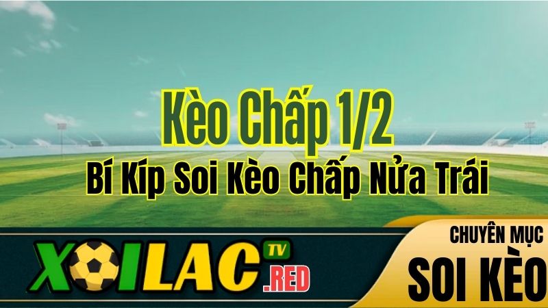 Kèo Chấp 1/2 Là Gì? Bí Kíp Soi Kèo Chấp Nửa Trái Từ Xoilac