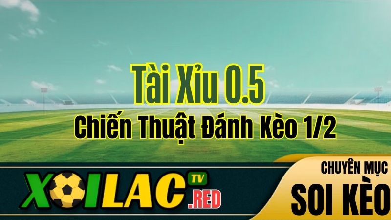Tài Xỉu 0.5 Là Gì? Chiến Thuật Đánh Kèo 1/2 Từ Chuyên Gia Xoilac